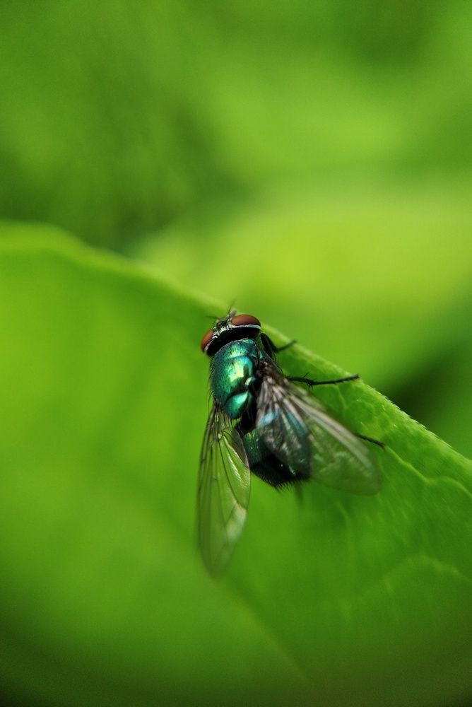 Photograph by Татьяна Юдина