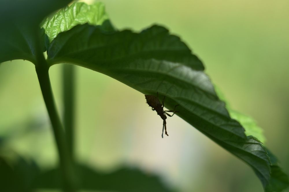 Photograph by Татьяна Юдина