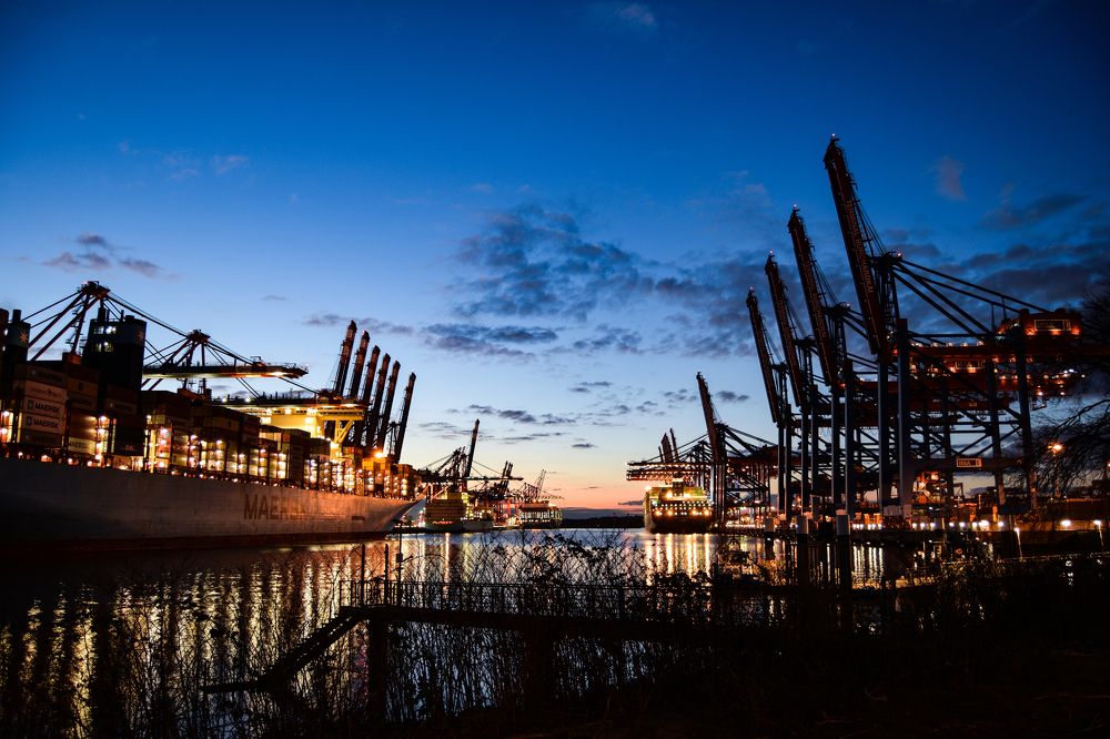 Photograph by Alena Smolianinova