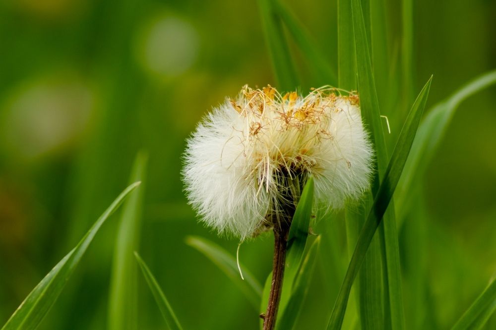 Photograph by Вера Шипулина