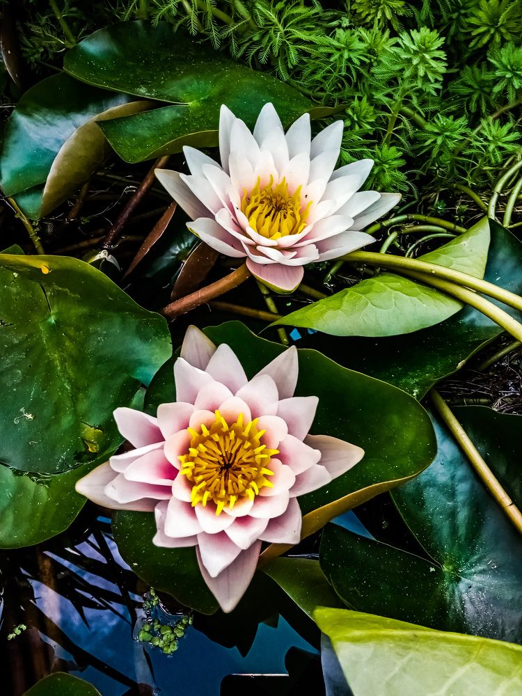 Photograph by Владимир Ковжаров