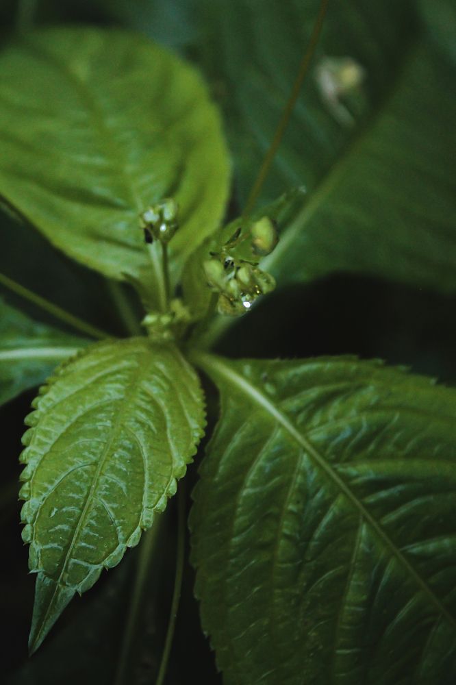 Photograph by Елена Лотник