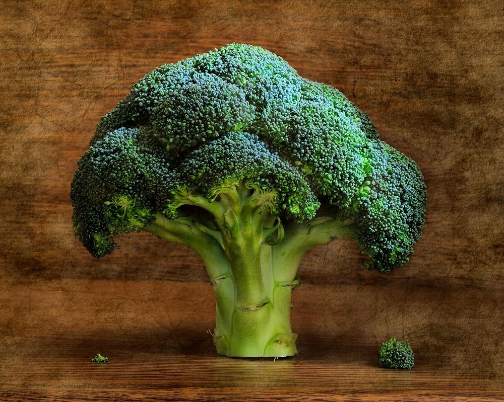 Photograph by Оксана Саранова