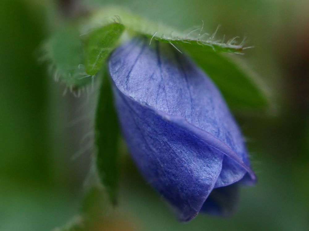 Photograph by Елена Харитонова