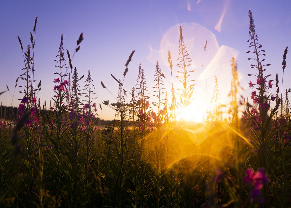 Photograph by Марина Евченко
