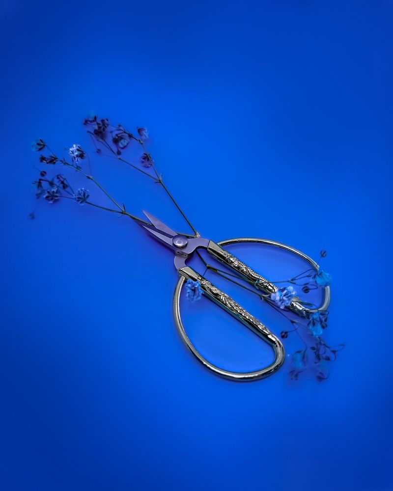 Photograph by T.Ю. Гринько