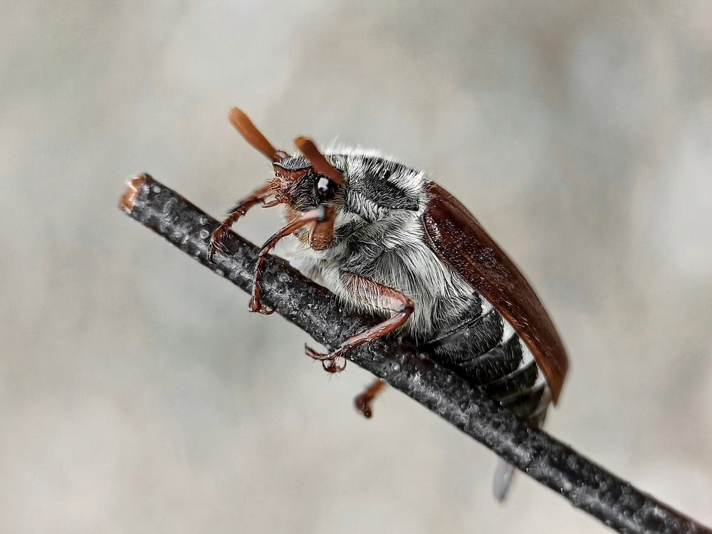 Photograph by Лора