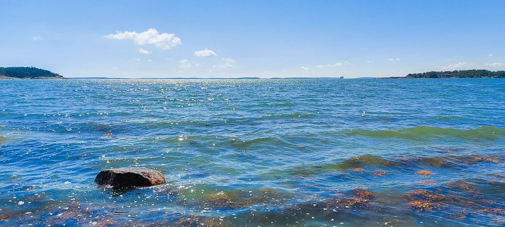 Photograph by Epp Tappel