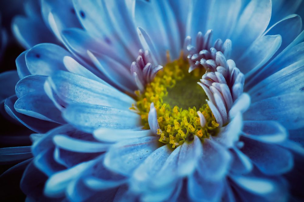 Photograph by Тараненко Анжелика