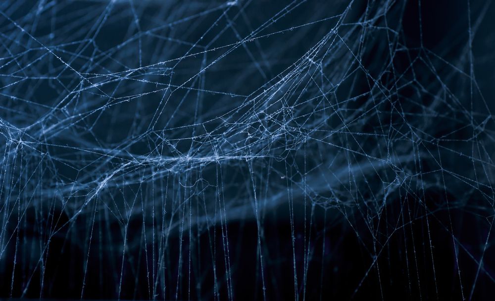 Photograph by Тараненко Анжелика