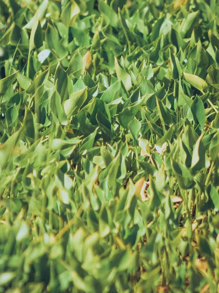 Photograph by Евгений Кузьмин