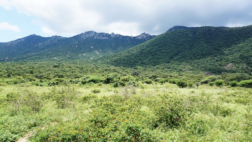 Photograph by Prabhu Viswanathan