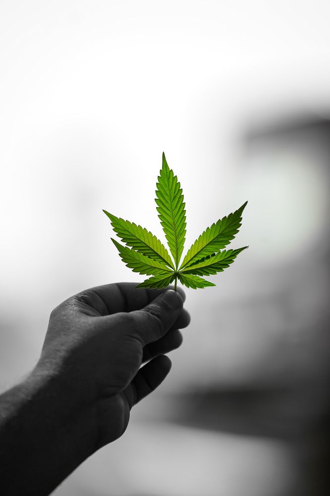 Photograph by HARSHIT MISHRA