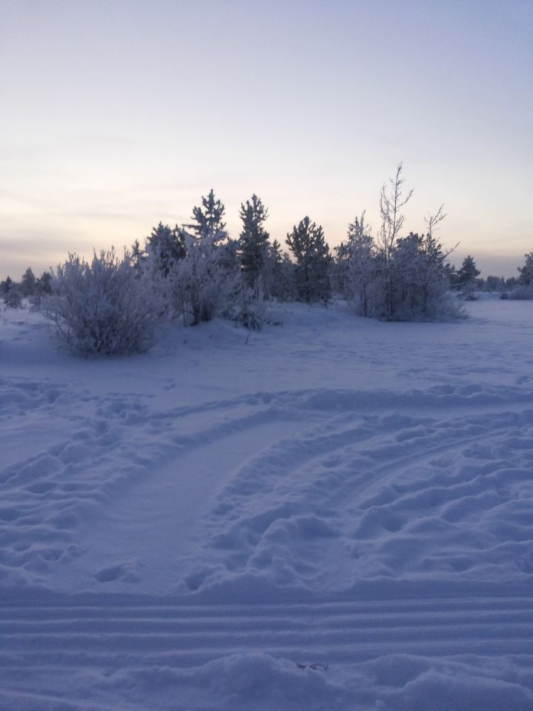 Photo #8017852