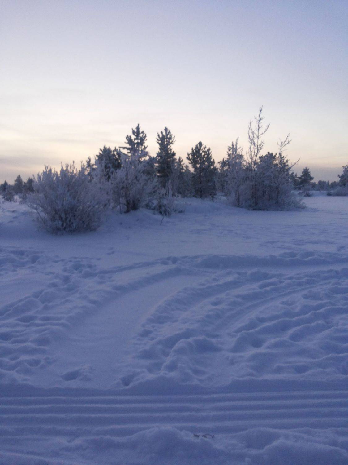 Photo #8017852