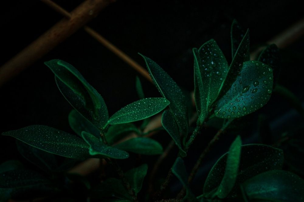 Photograph by Марина Миклашевич