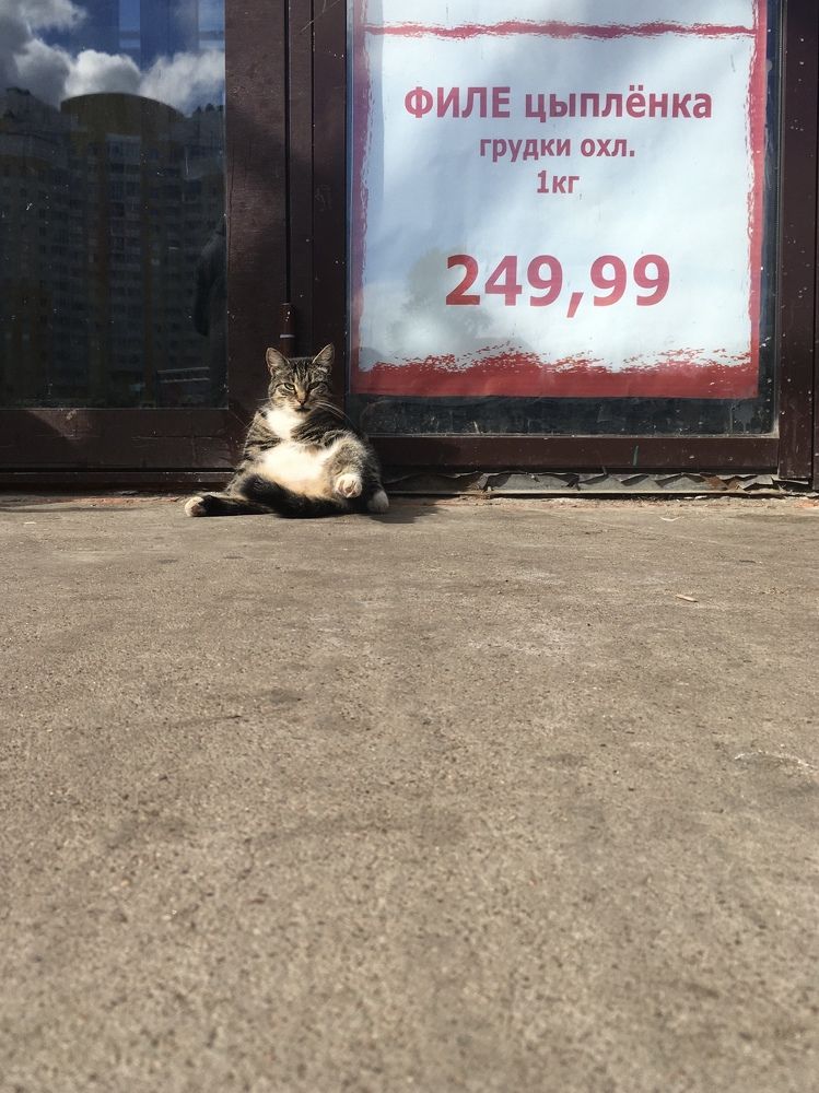 Photograph by Сергей Лугин