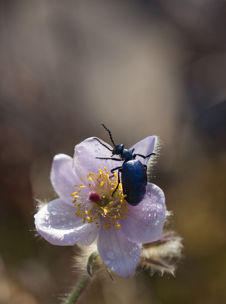 Photograph by Евгения Левина