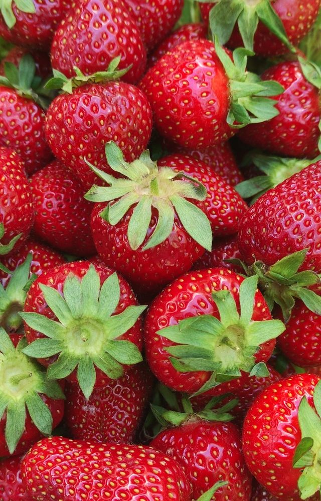 Фотография автора Ирина Васильева