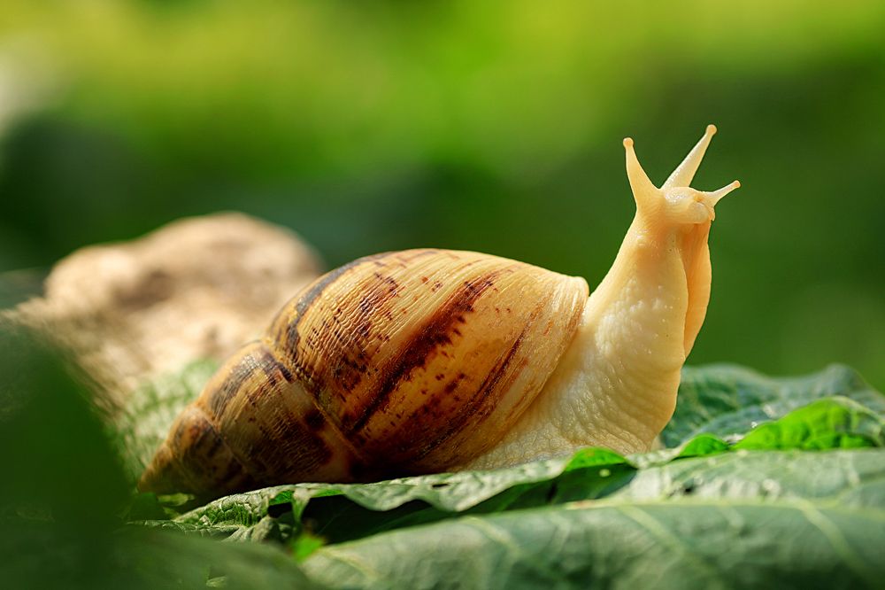 Photograph by Ольга Левина