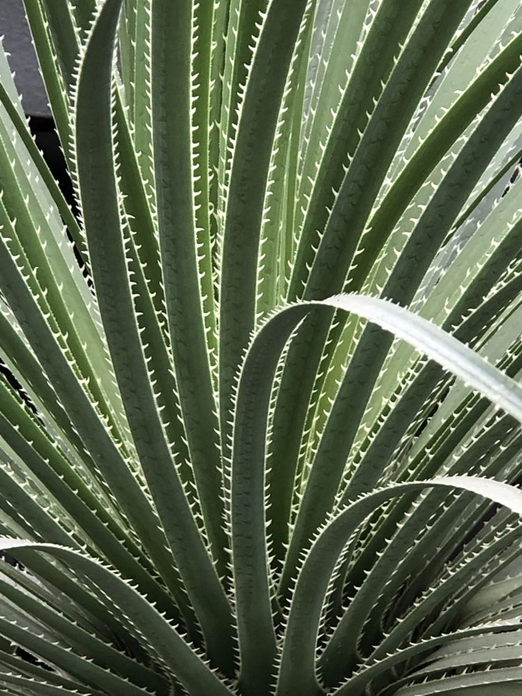 Photograph by Мария Бессмертная