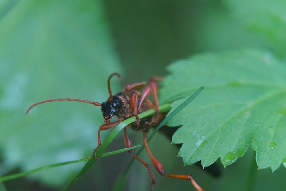 Photograph by Прохоров Алексей