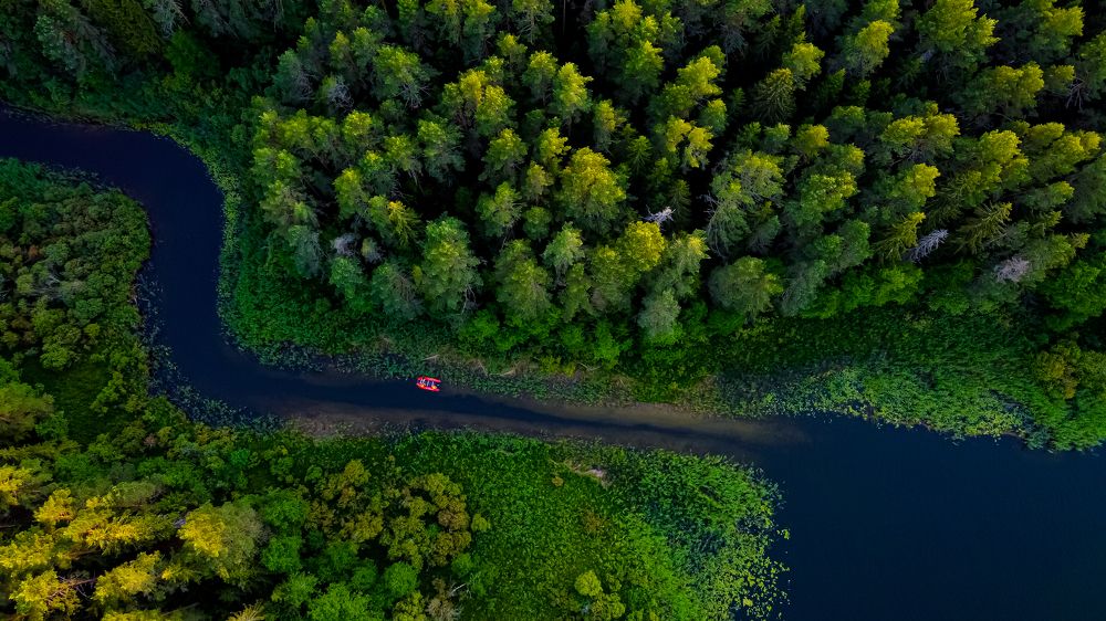Протоки острова Хачин на Селигере