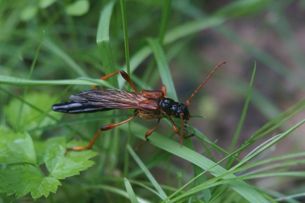 Photograph by Прохоров Алексей