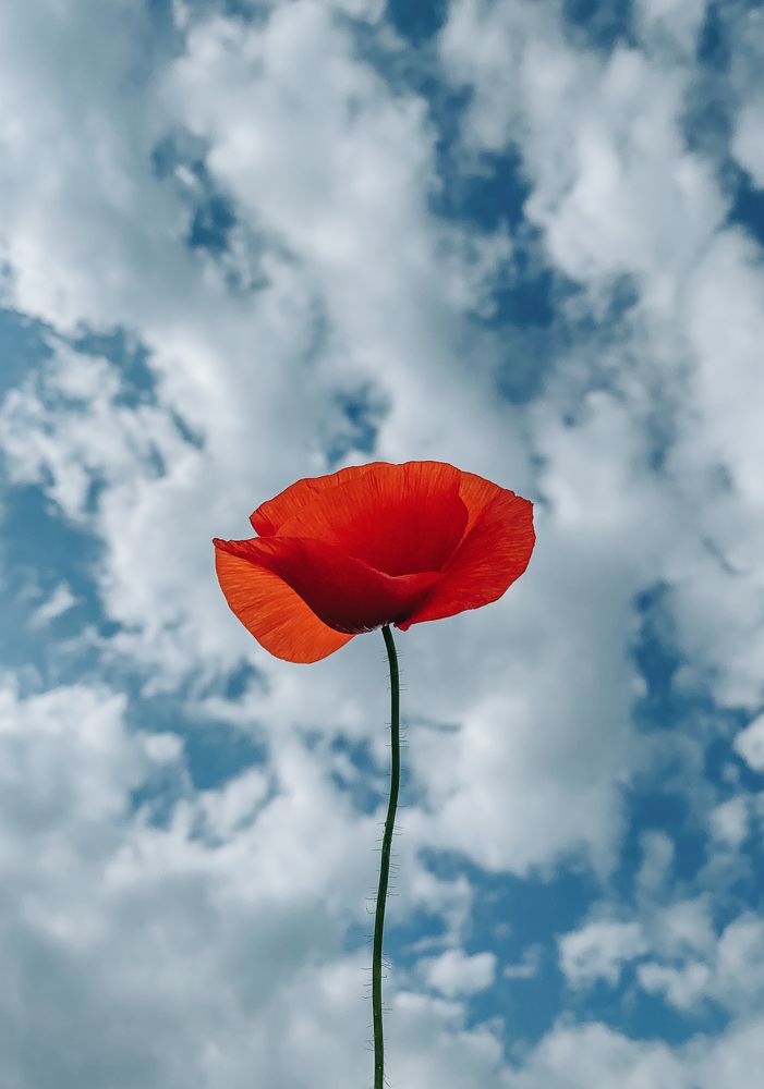 Photograph by Андрей Васильев