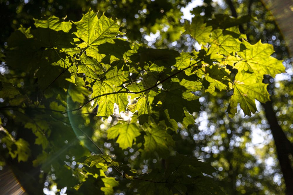 Photograph by Иван Соловьёв