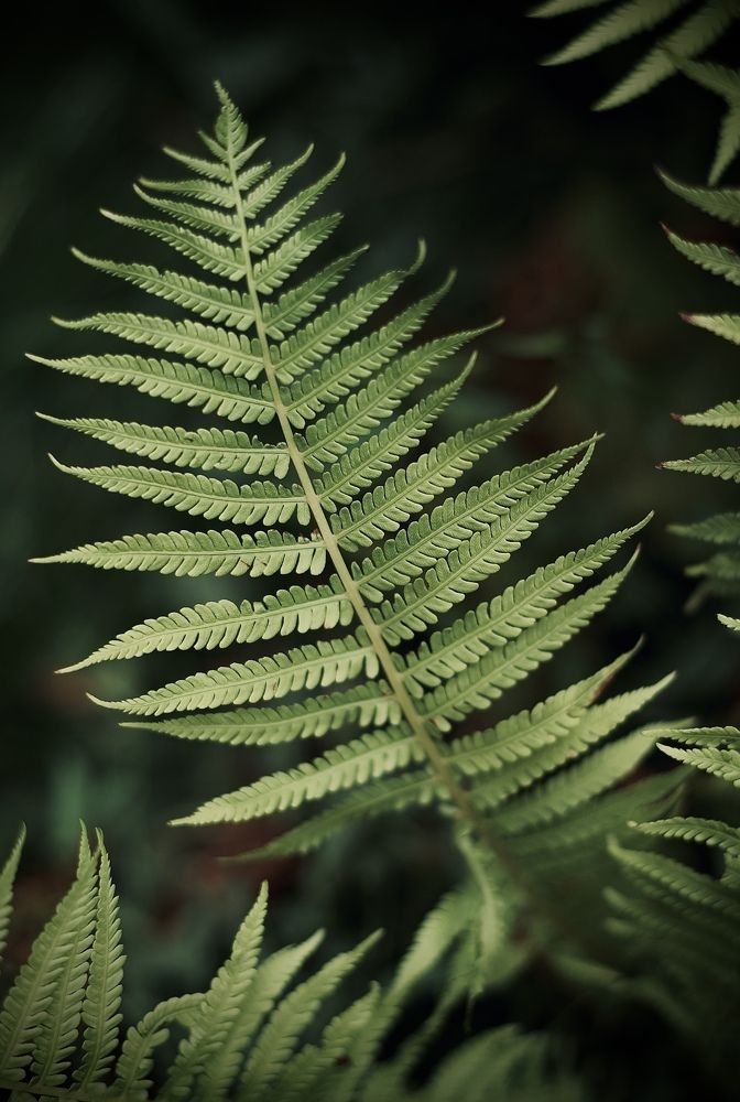 Photograph by Инесса Юровских