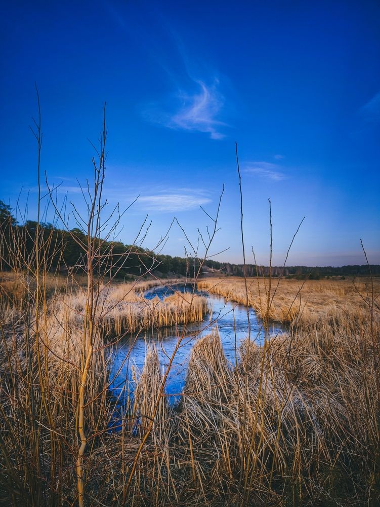 Photograph by Mar Kos