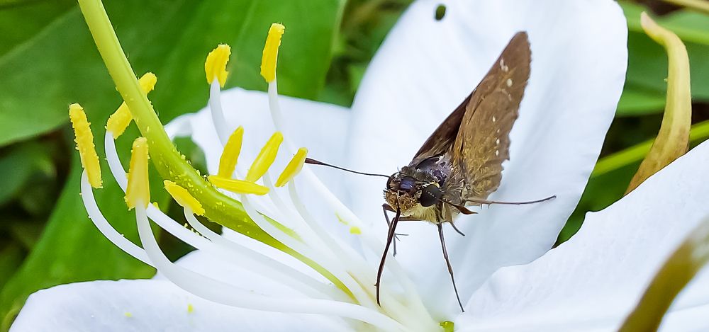 Photograph by SREENATH NARAYAN