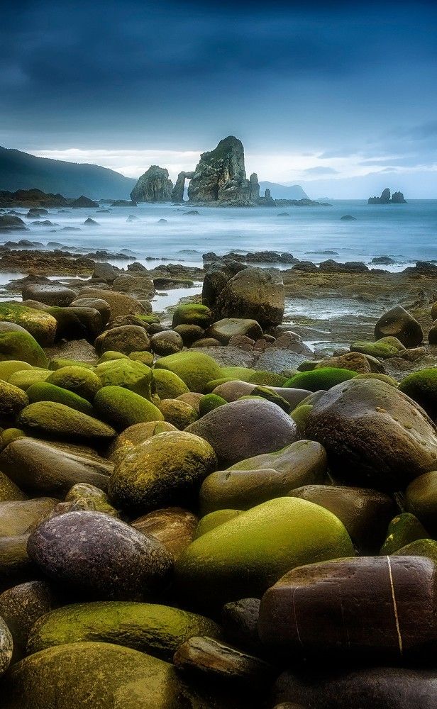 Photograph by Camacho Anto