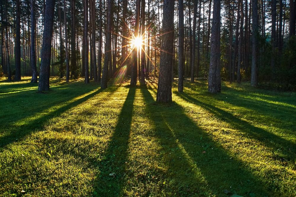 Photograph by Alexey Olkhovenko