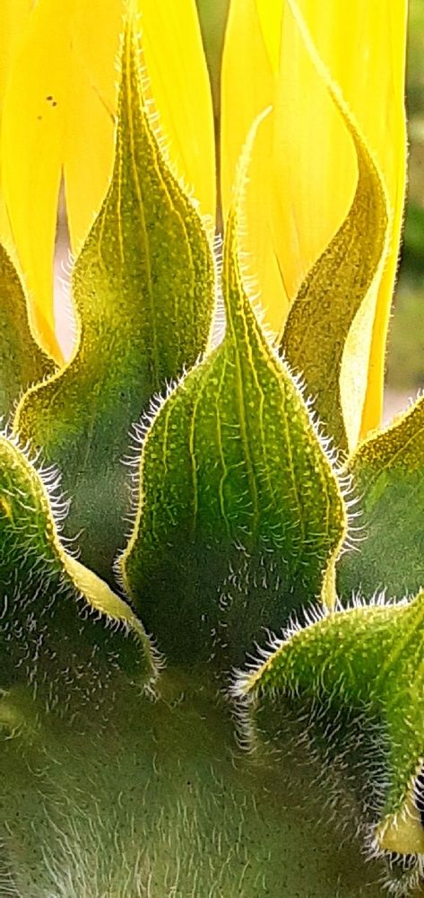 Photograph by Евгения Ульянова