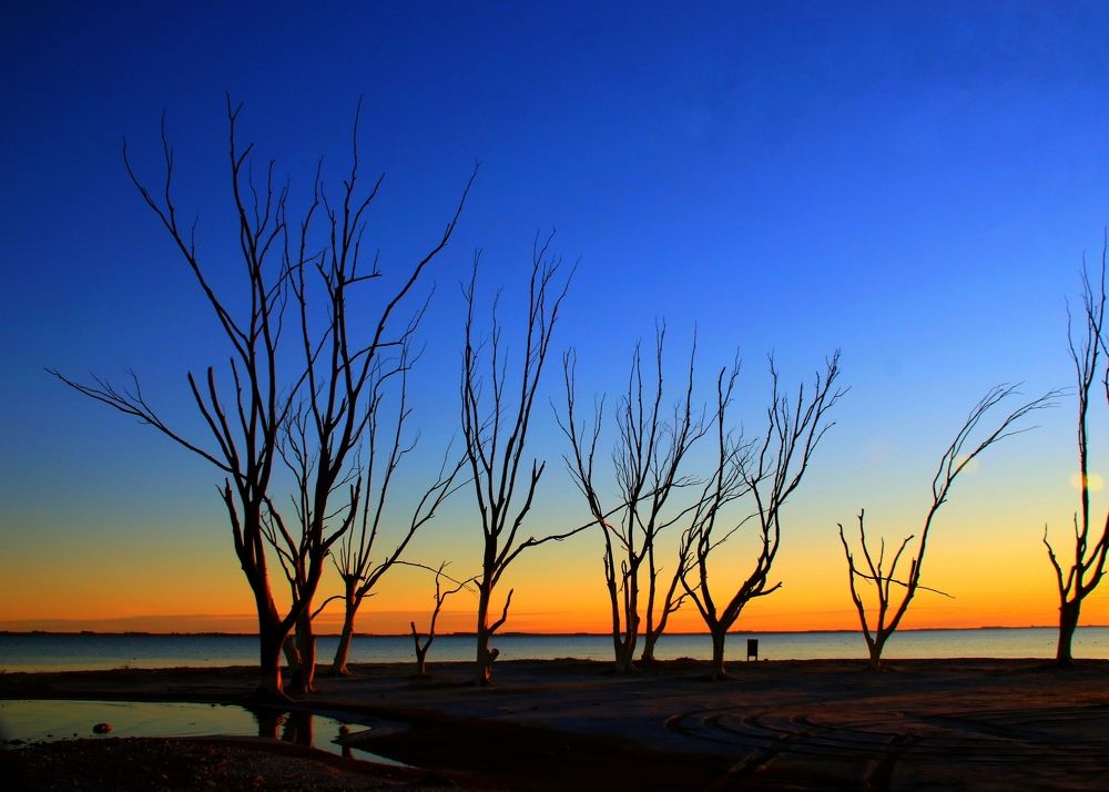 Photograph by Viviana García