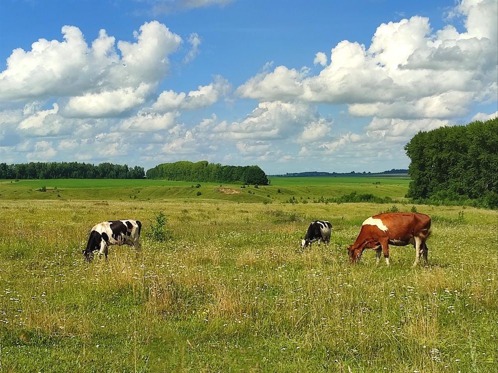 Просторы Чувашии