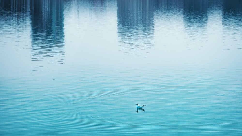 Photograph by mohammad fotouhi