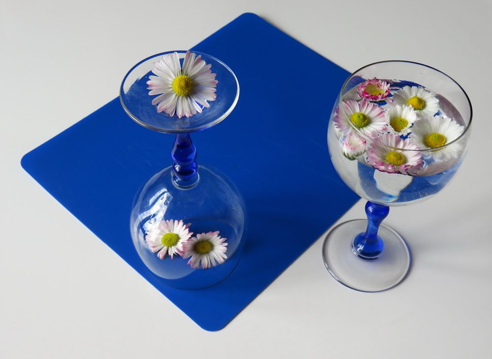 Daisies in a glass