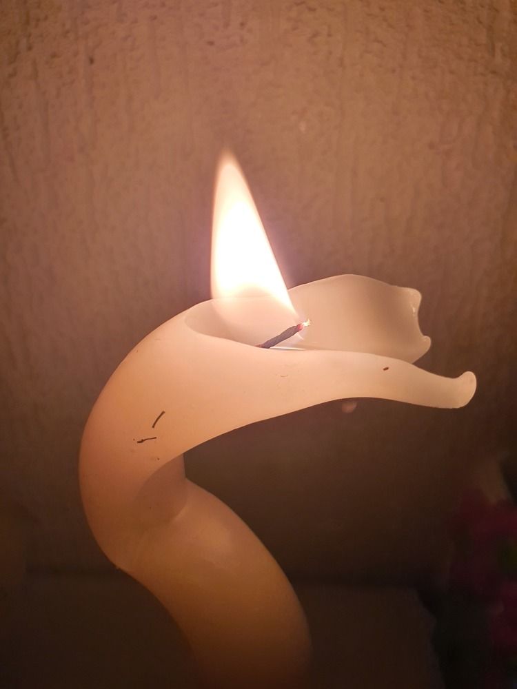 Photo #8018449