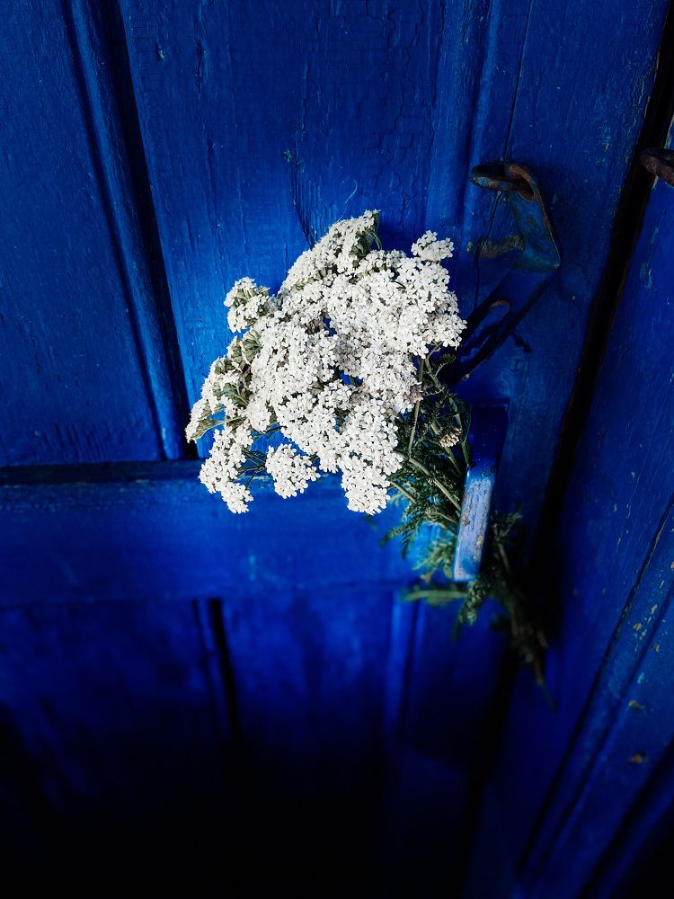 Photograph by Катерина