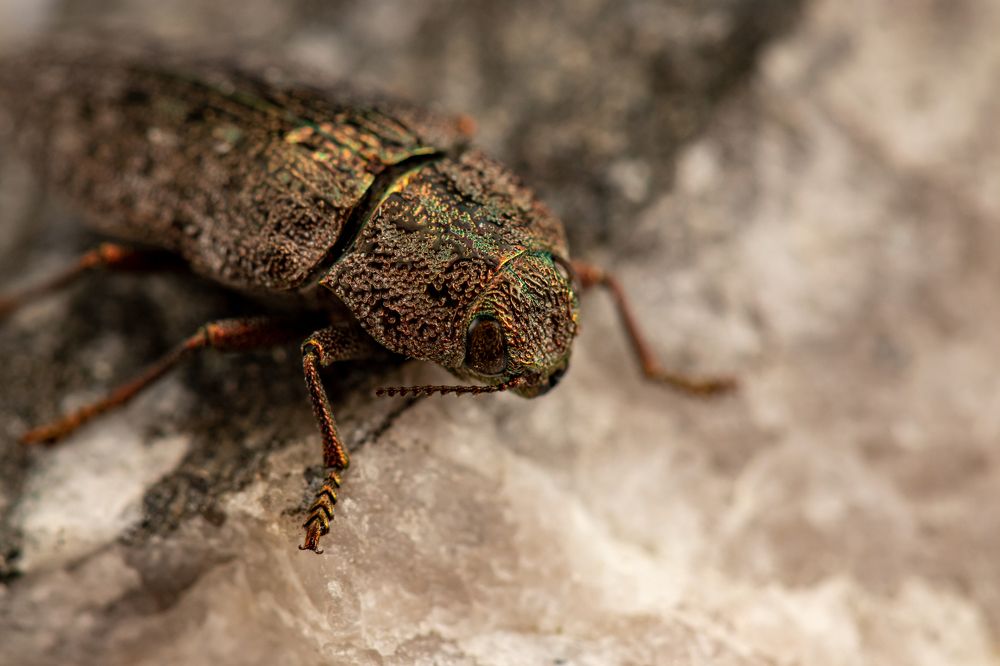 Photograph by Jelena Murina