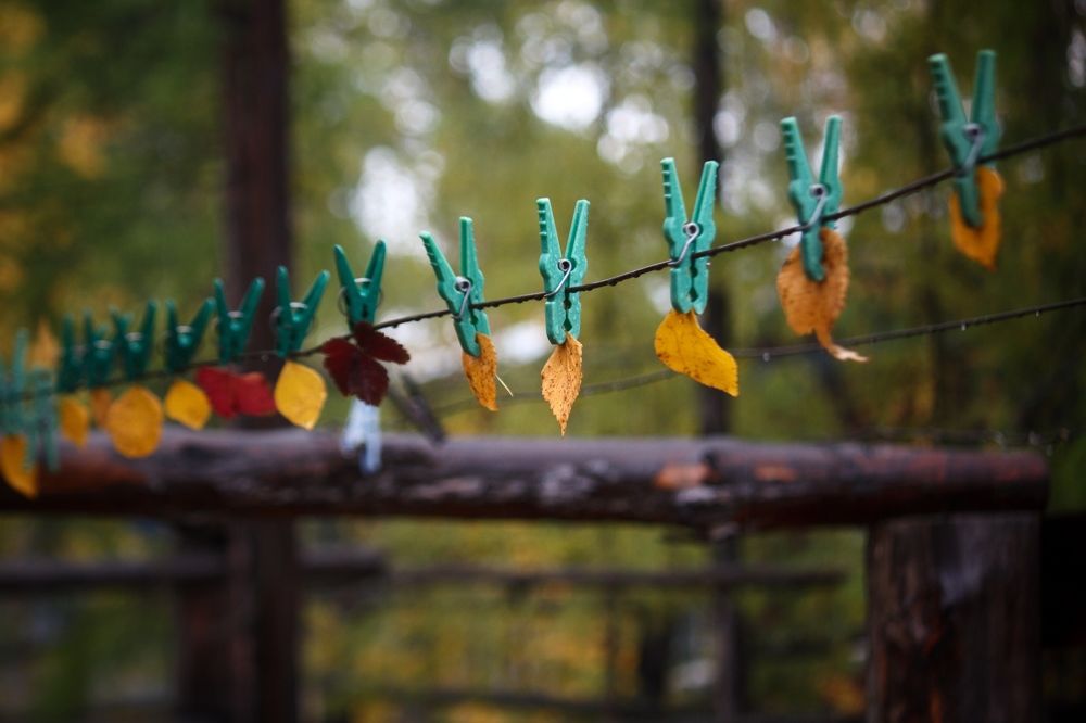 Photograph by Виктория Эверстова