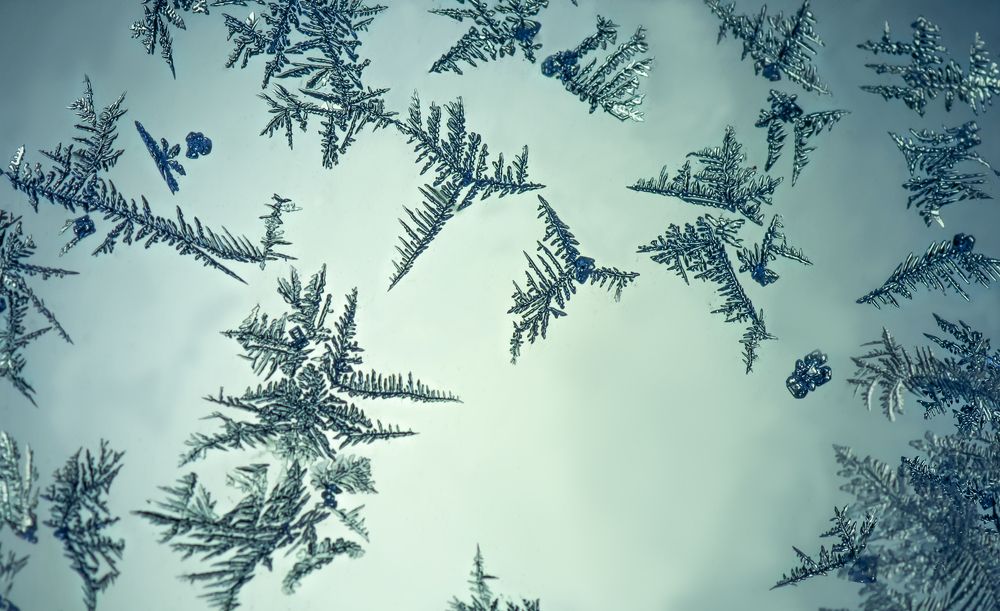 Photograph by Тараненко Анжелика