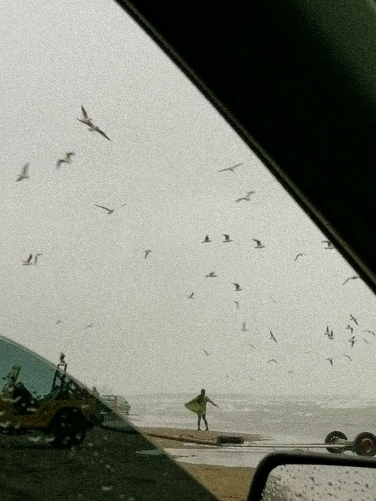 Freedom