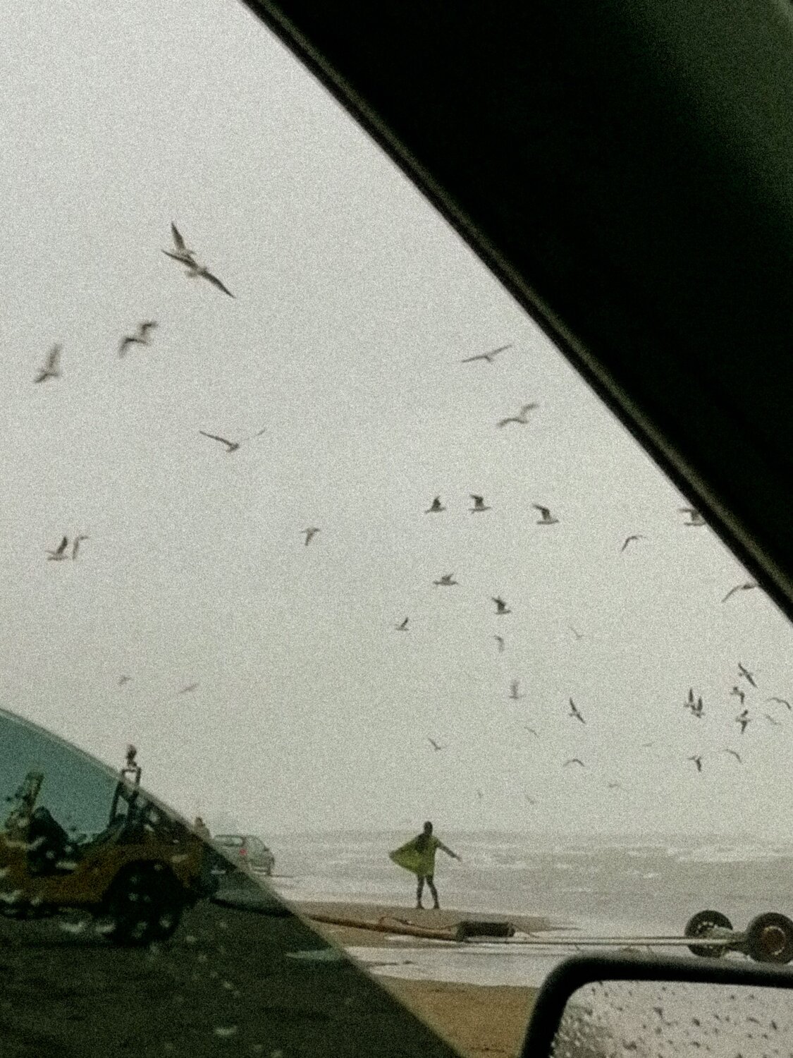 Freedom