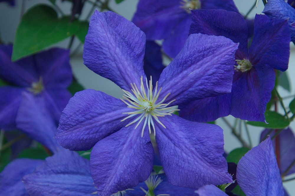 Photograph by Василий Быстрицкий