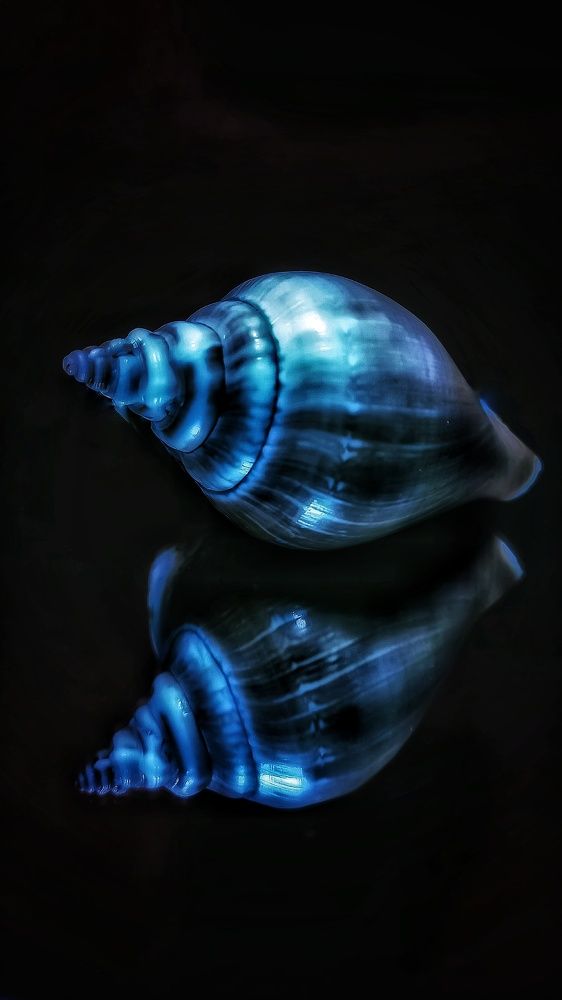 Photograph by Альбина Муртазина