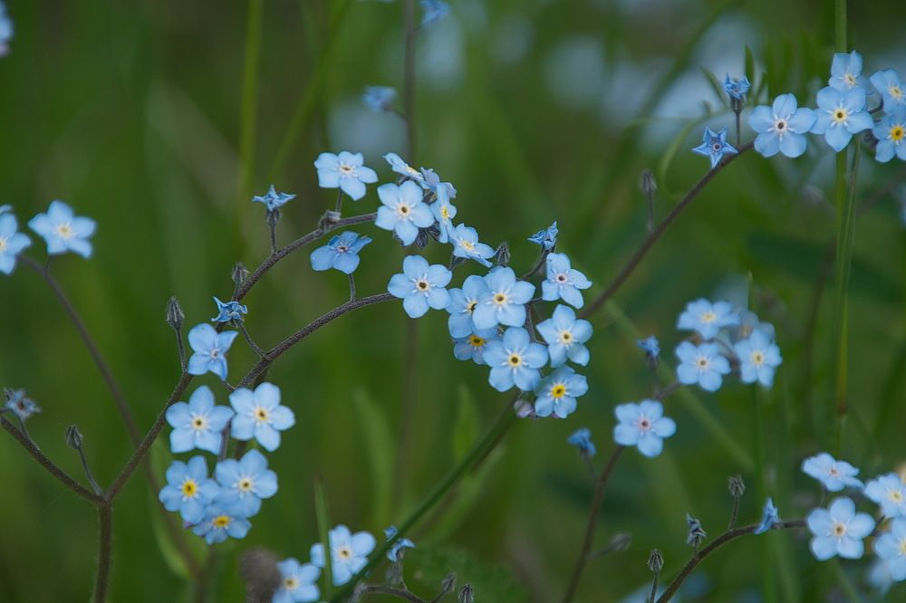 Photograph by Василий Быстрицкий